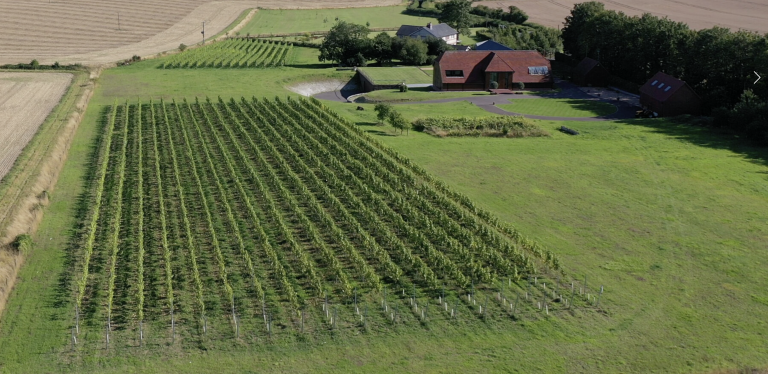 The beautiful Lone Farm and their vineyard